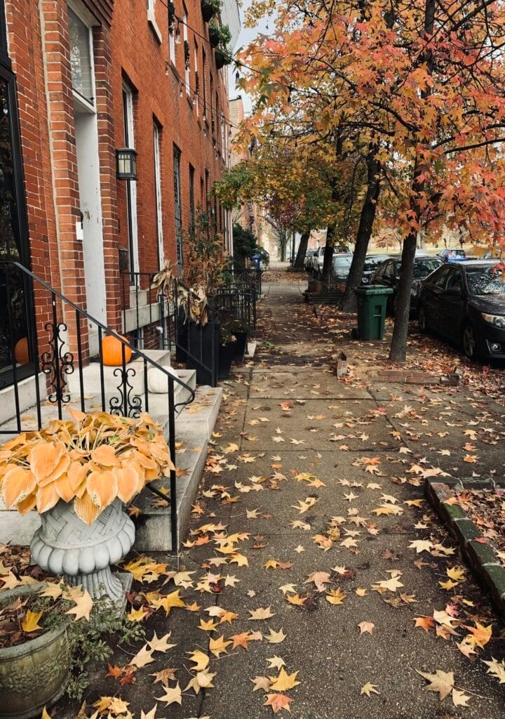 Picturesque fall street in Baltimore with colorful leaves and brick row houses.